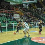 sidigas bears bakken