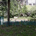 parco santo spirito (15)