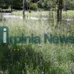 parco santo spirito (17)