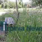 parco santo spirito (18)