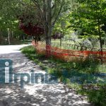 parco santo spirito (28)