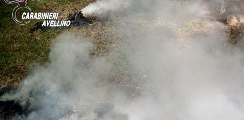Roghi, agricoltore denunciato per aver bruciato residui vegetali