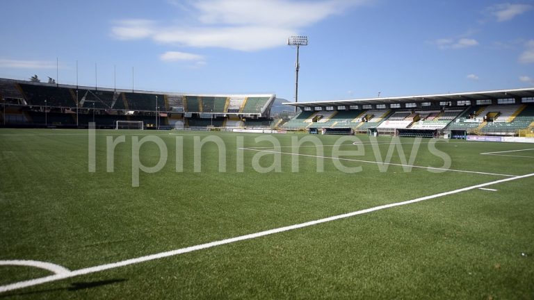 Avellino, ci siamo: lupi al via aspettando i colpi di mercato