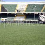 Stadio Partenio-18