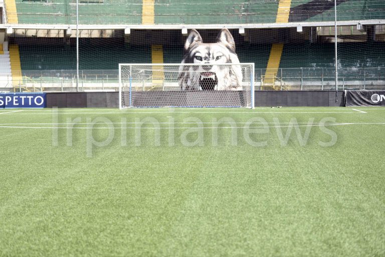 Avellino, finalmente il campo: domani il primo allenamento