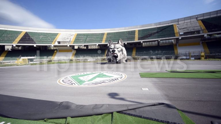 Sciopero e riapertura stadi, Lega Pro col fiato sospeso: Avellino alla finestra