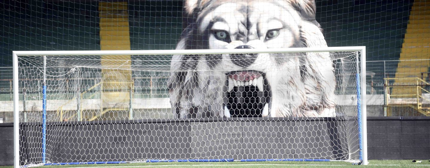 Serie C verso l’iscrizione, in archivio il primo step: Avellino ok per il Partenio-Lombardi