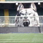 Stadio Partenio-lupo