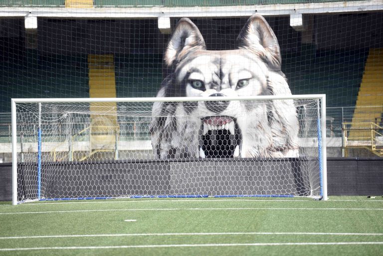 Serie C verso l’iscrizione, in archivio il primo step: Avellino ok per il Partenio-Lombardi