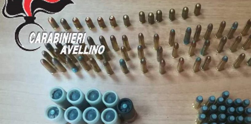Piante di marijuana e munizioni in un casolare abbandonato