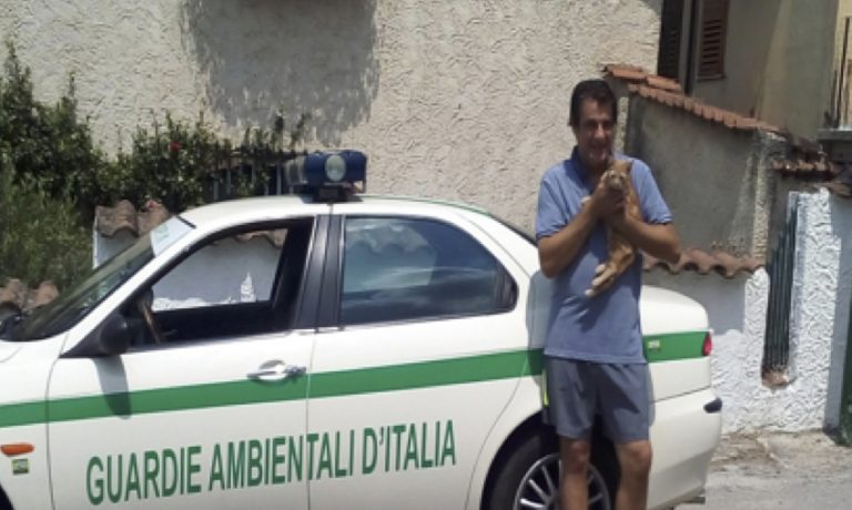 Gattini abbandonati, il Gadit trova casa al primo micino