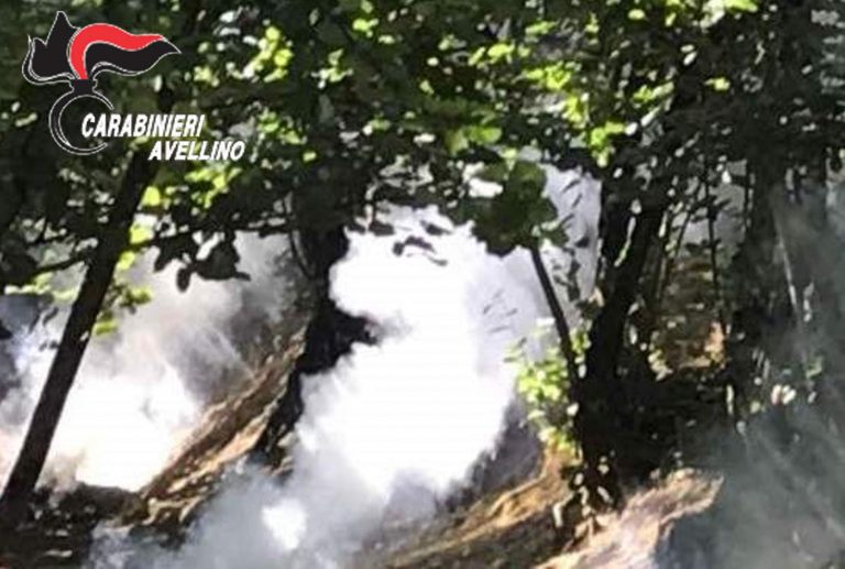 Brucia plastica e residui vegetali: denuncia e richiesta d’intervento dell’Arpac