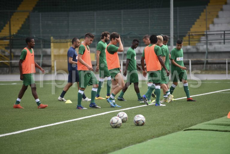 SSD Avellino, ecco il logo: il comunicato del club di De Cesare