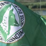 bandiera Avellino tifosi