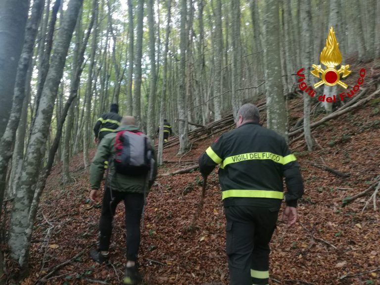 Cercatore  di funghi si perde nelle montagne di Quindici: ricerche in corso