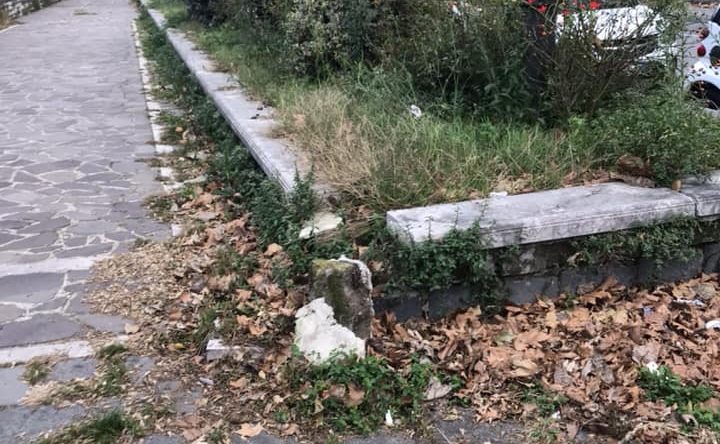 Viale Italia, l’appello di Maglione per superare il degrado: “Adottiamo noi le aiuole”