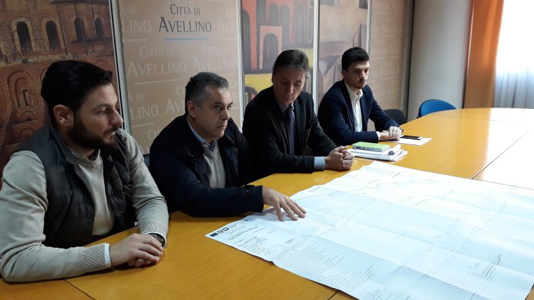 Taglio degli alberi, Mingarelli: “Era programmato. In futuro comunicheremo meglio”