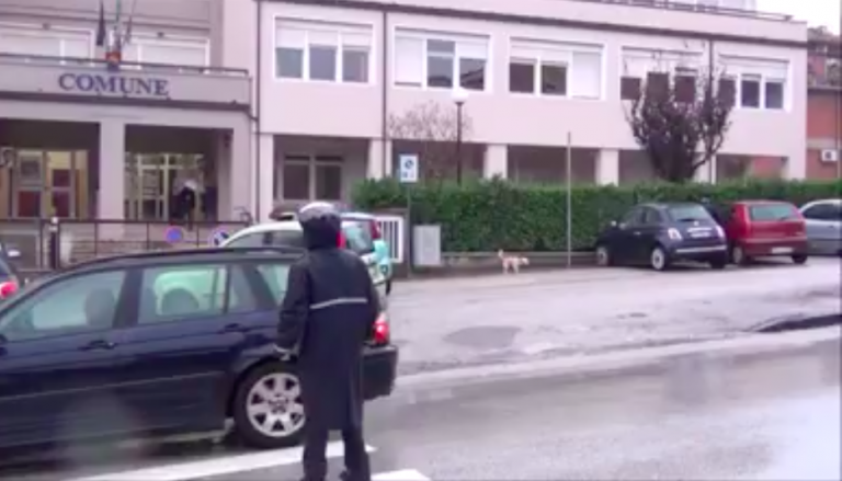 VIDEO/ Rosario, il vigile che insegna ai cani ad attraversare sulle strisce