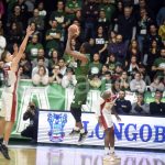 scandone Pesaro cole