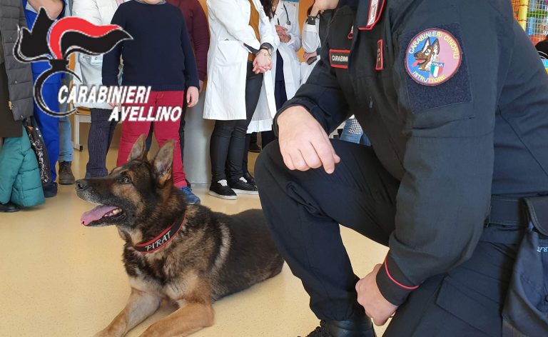 Il cane Pirat in Pediatria, gli auguri dei Carabinieri ai bambini del Moscati