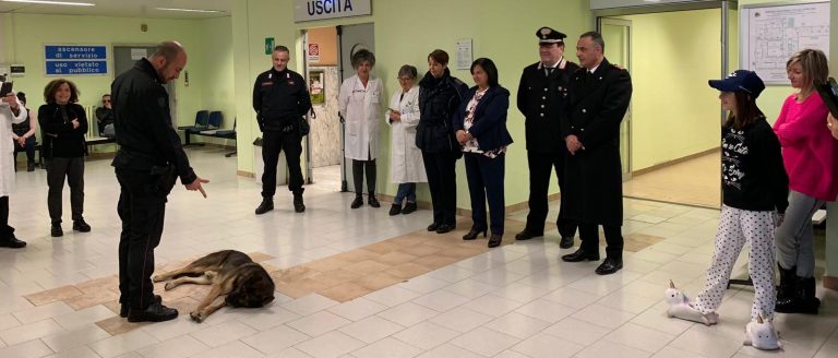 VIDEO/ Visita dei Carabinieri al reparto Pediatria del “Landolfi”: il cane Pirat conquista i bambini