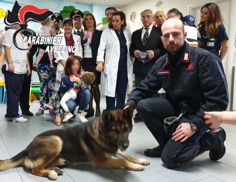 Carabinieri in visita al reparto Pediatria del Frangipane con i cani Pirat e Carly