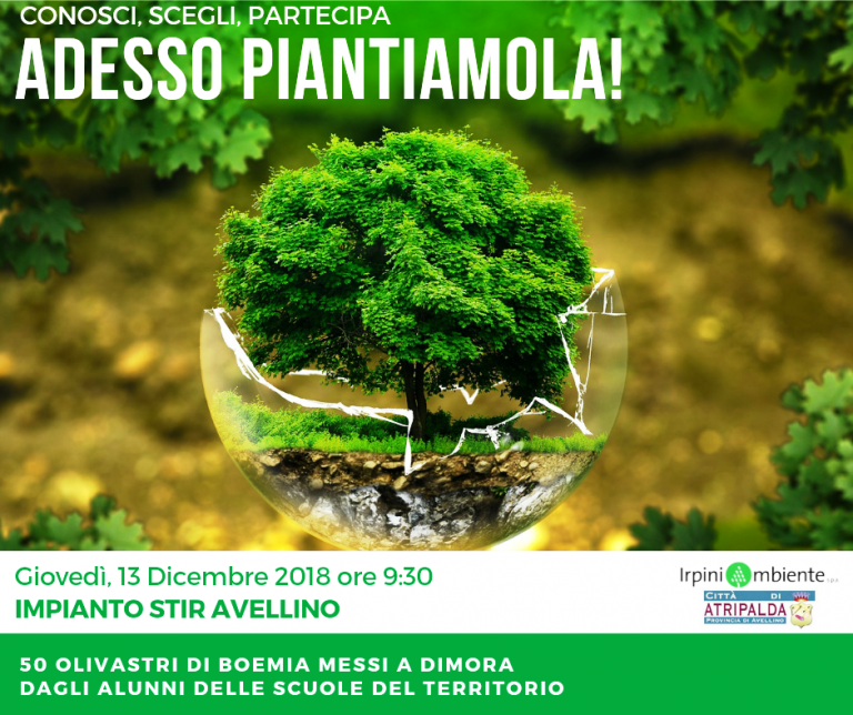 “Adesso piantamola”: allo Stir 50 olivastri di Boemia