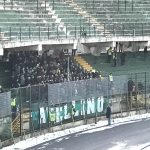 avellino tifosi