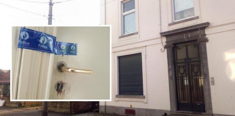Morta da tre mesi, 70enne trovata in casa divorata dal suo gatto