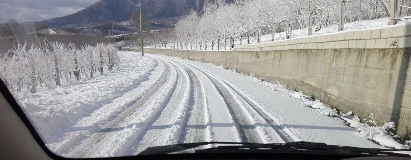 Emergenza neve, anziana bloccata in casa senza viveri: messa in salvo dalle Guardie Ambientali