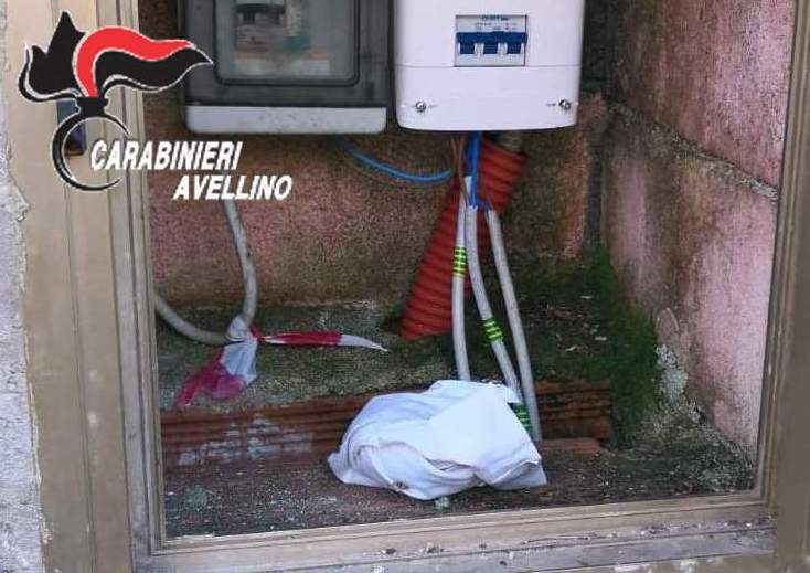 Nascondeva la droga nel box del contatore: beccato grazie al fiuto di Gero