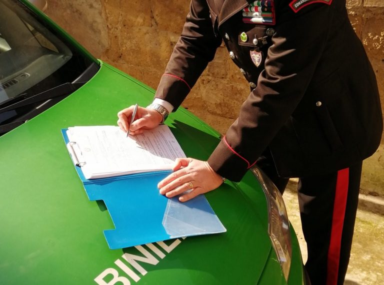 Furto di legna e manodopera senza permesso di soggiorno: nei guai una ditta di Solopaca