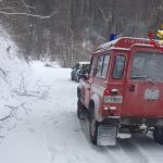 vigili 8