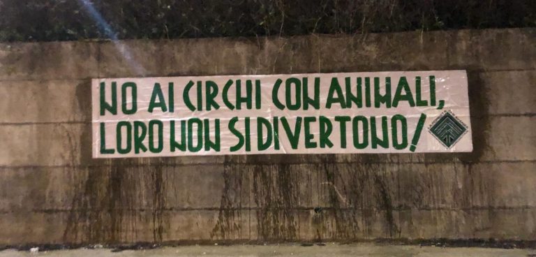 “Basta sfruttare gli animali nei circhi”, l’appello alle istituzioni