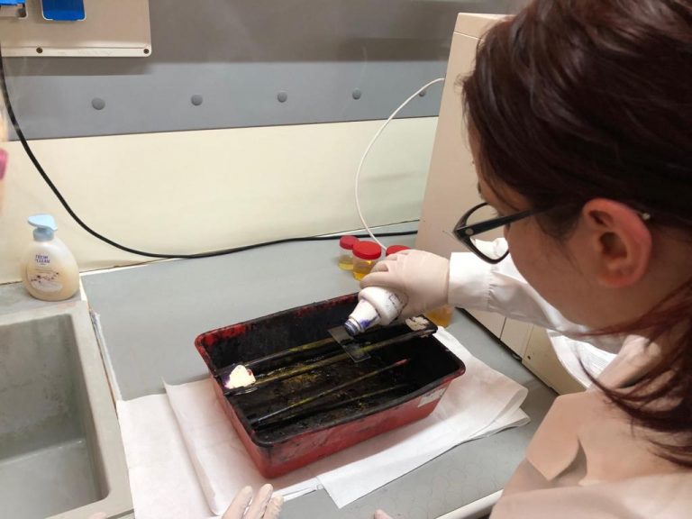 Biomedica: all’Itis Guido Dorso di Avellino si studia una delle scoperte scientifiche più rivoluzionarie degli ultimi anni