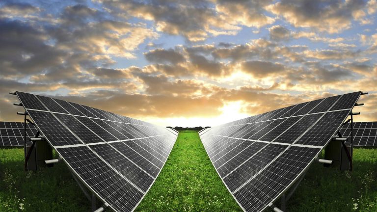 I giovani imprenditori investono nella green economy ma non assumono