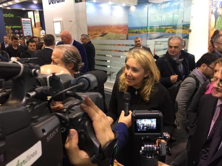 Olivicoltura, a Benevento l’incontro con il sottosegretario all’Agricoltura Alessandra Pesce