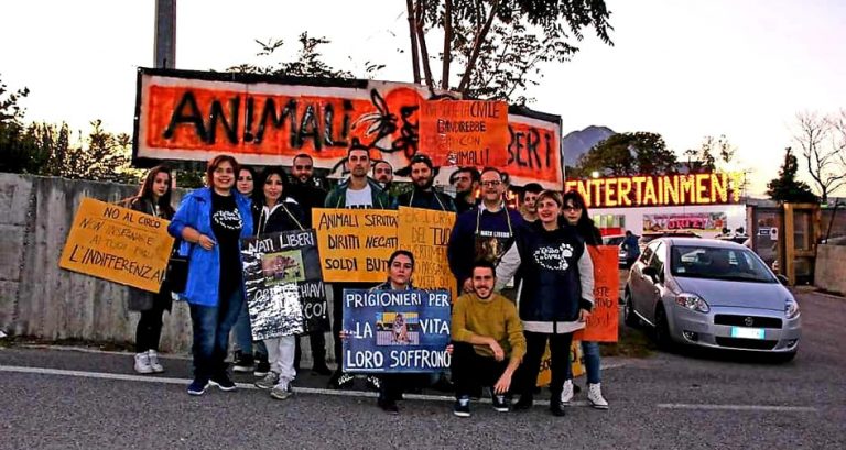 Animalisti in campo ad Avellino per la protesta davanti al circo