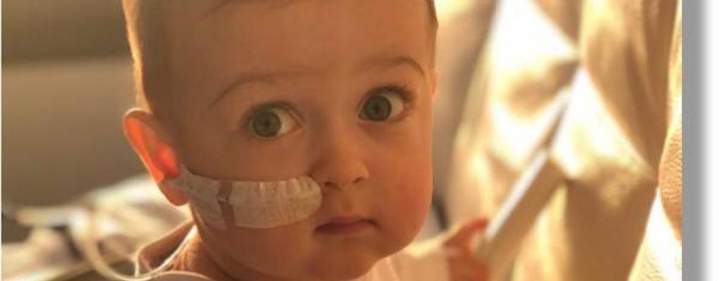 Guida alla donazione del midollo: dal caso del piccolo Alex ai falsi miti, specialisti a confronto