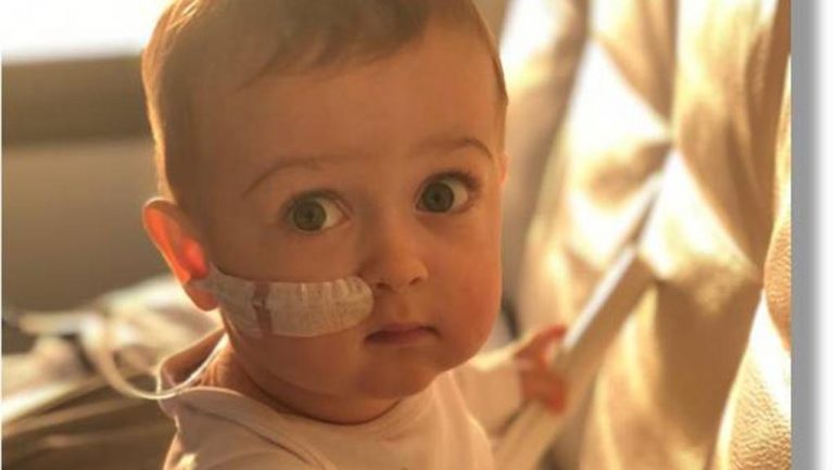 Guida alla donazione del midollo: dal caso del piccolo Alex ai falsi miti, specialisti a confronto