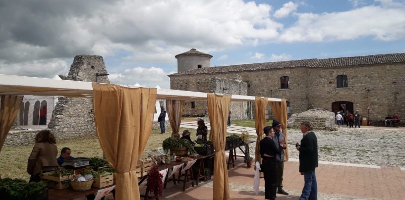 Grottaminarda e Ariano le comunità vincitrici della “Disfida del Soffritto”