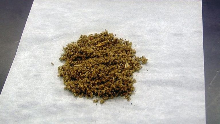 In Campania cresce il consumo di nuove droghe: diffusione tra i giovani di Spice e Nps oltre la media nazionale
