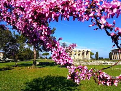 Pasquetta tra i templi di Paestum: area archeologica e museo aperti regolarmente