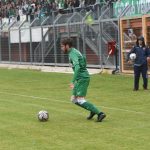 tribuzzi