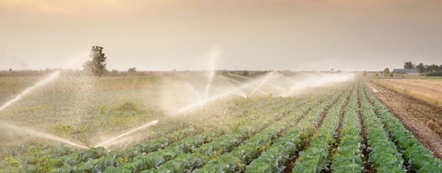 Agricoltura ed emergenza idrica, a Montoro si presenta il progetto per l’uso efficente dell’acqua