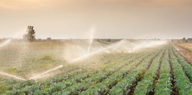 Agricoltura ed emergenza idrica, a Montoro si presenta il progetto per l’uso efficente dell’acqua