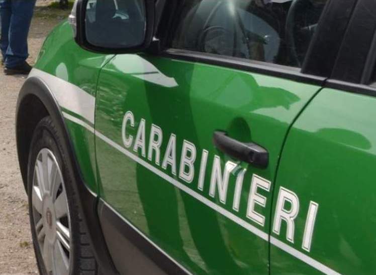 Raccolta tartufo: i Carabinieri Forestali “pizzicano” cavatore senza tesserino