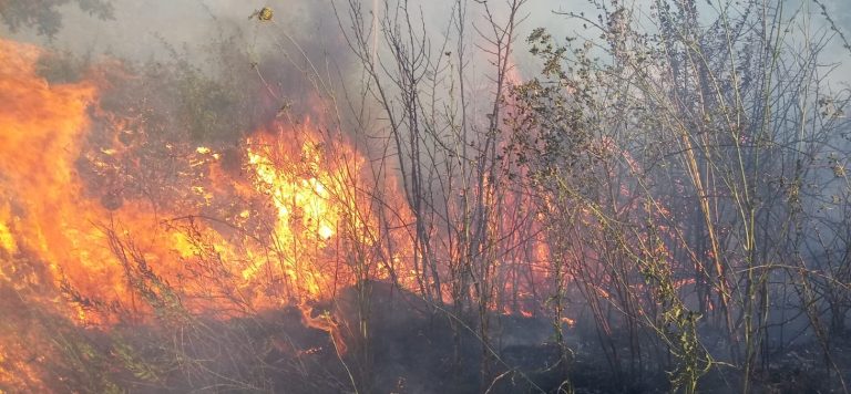 VIDEO-FOTO/ Col caldo tornano gli incendi in Irpinia: serie di roghi tra Paternopoli e San Mango