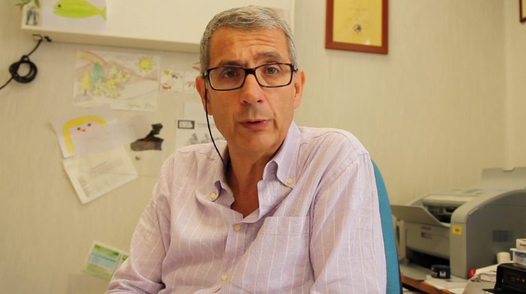 APPROFONDIMENTO / Punture di insetti, altro pericolo dell’estate: tutti i consigli utili