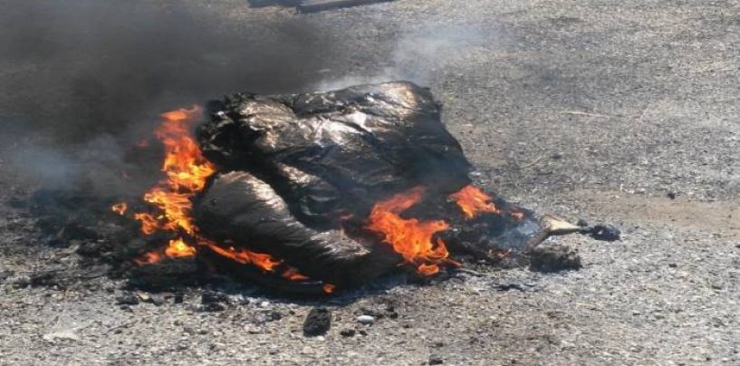 Colto sul fatto mentre bruciava materiali di scarto, in manette un uomo di Calvi